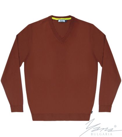 Men's V-neck sweater, long sleeves, brown