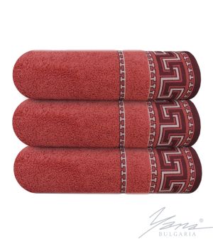 Microcotton towel 13Y273 red